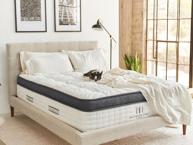 Mercury Foam Mattress